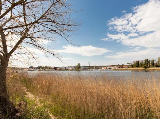 Alexis Apartament Дзивнув Экстерьер фото